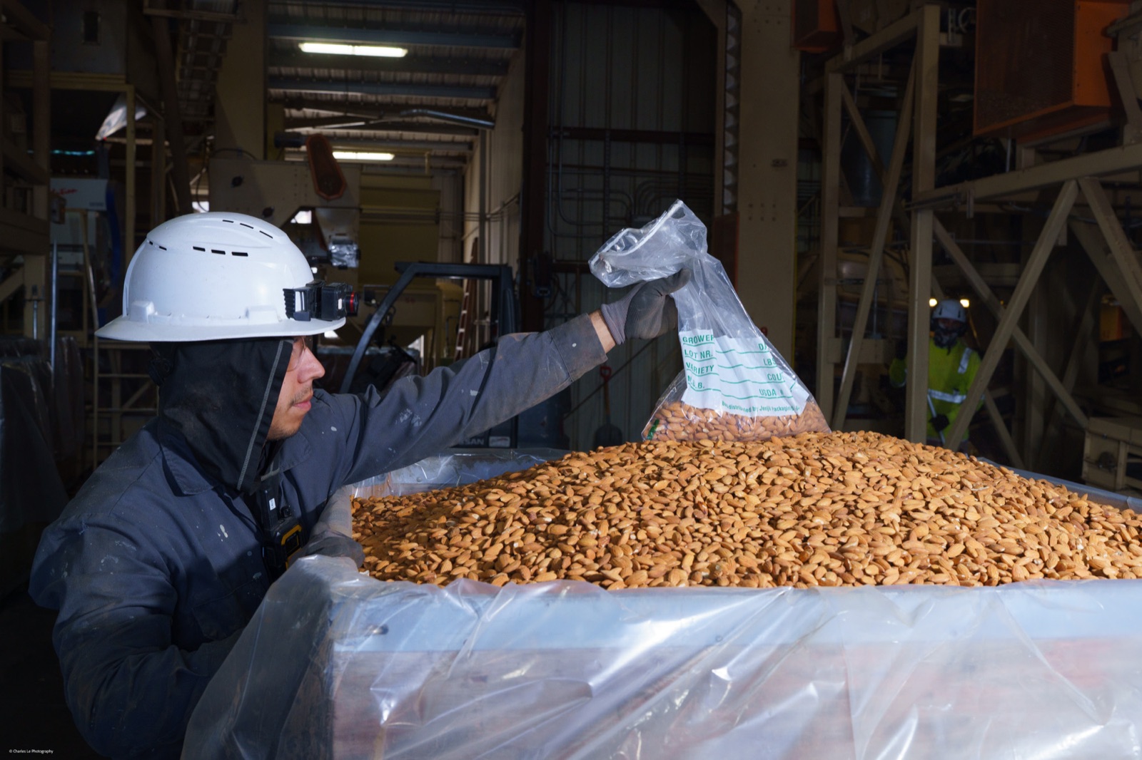 Plant team member taking an almond sample from a lot